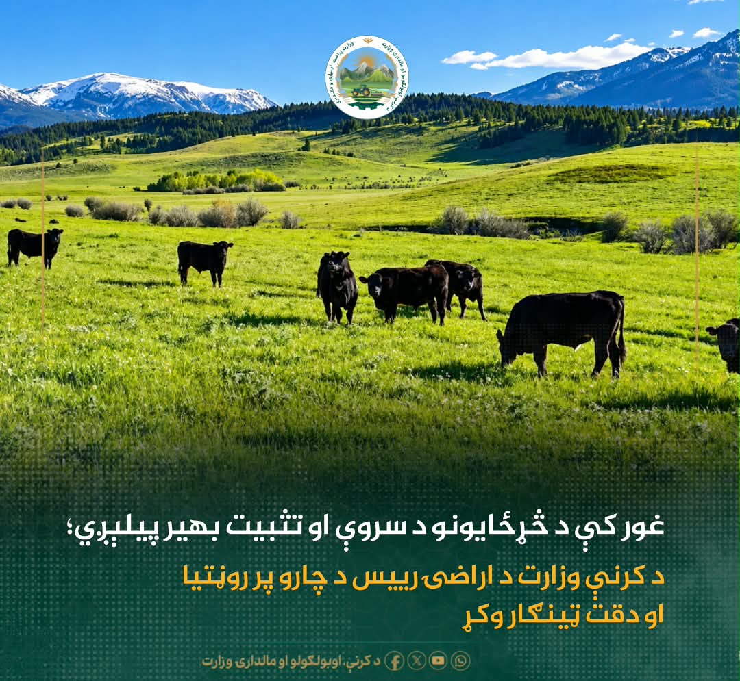 د ورځ مهمی خبری