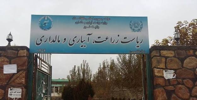 آغاز روند سروی و تثبیت علفچرها در ولایت غور