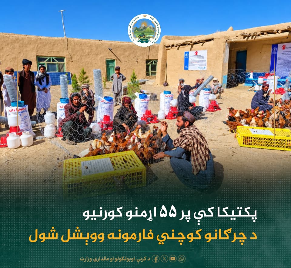 د ورځ مهمی خبری
