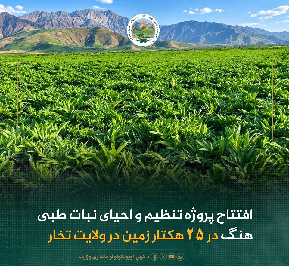 خبرهای مهم روز