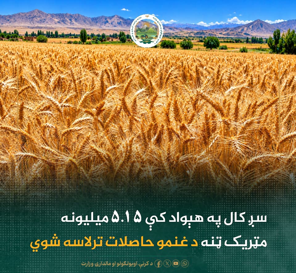 د ورځ مهمی خبری