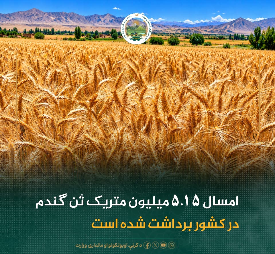 خبرهای مهم روز