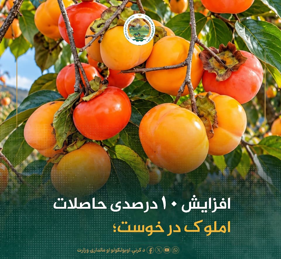 خبرهای مهم روز