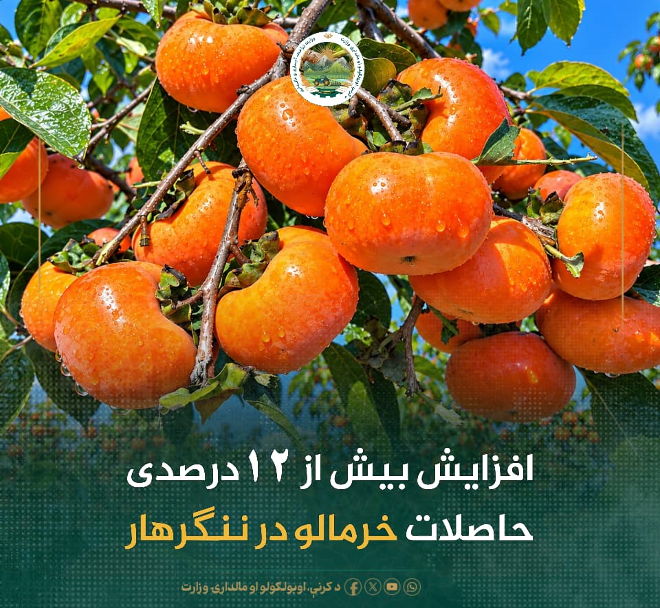 خبرهای مهم روز