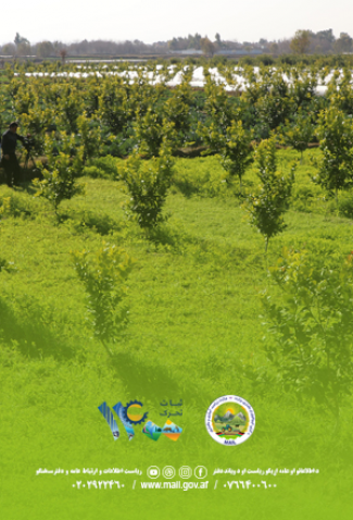 د متراکمو بڼونو دجوړولو چارې پيل شوې