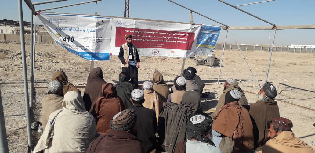 د کندهار ژړۍ کې پر لسګونو بزګرانو د جوارو او سبو تخمونه او کیمیاوي سرې وېشل کېږي